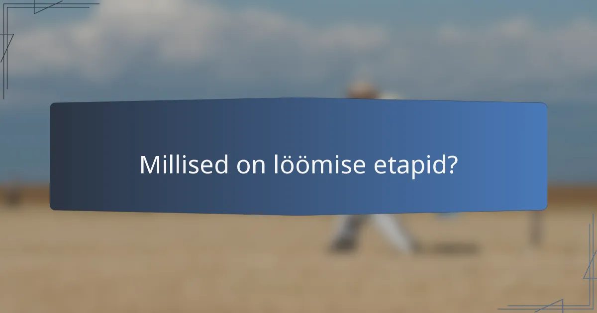 Millised on löömise etapid?