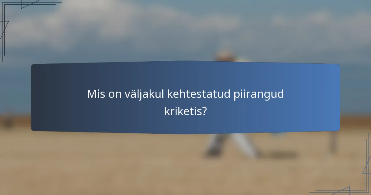 Mis on väljakul kehtestatud piirangud kriketis?